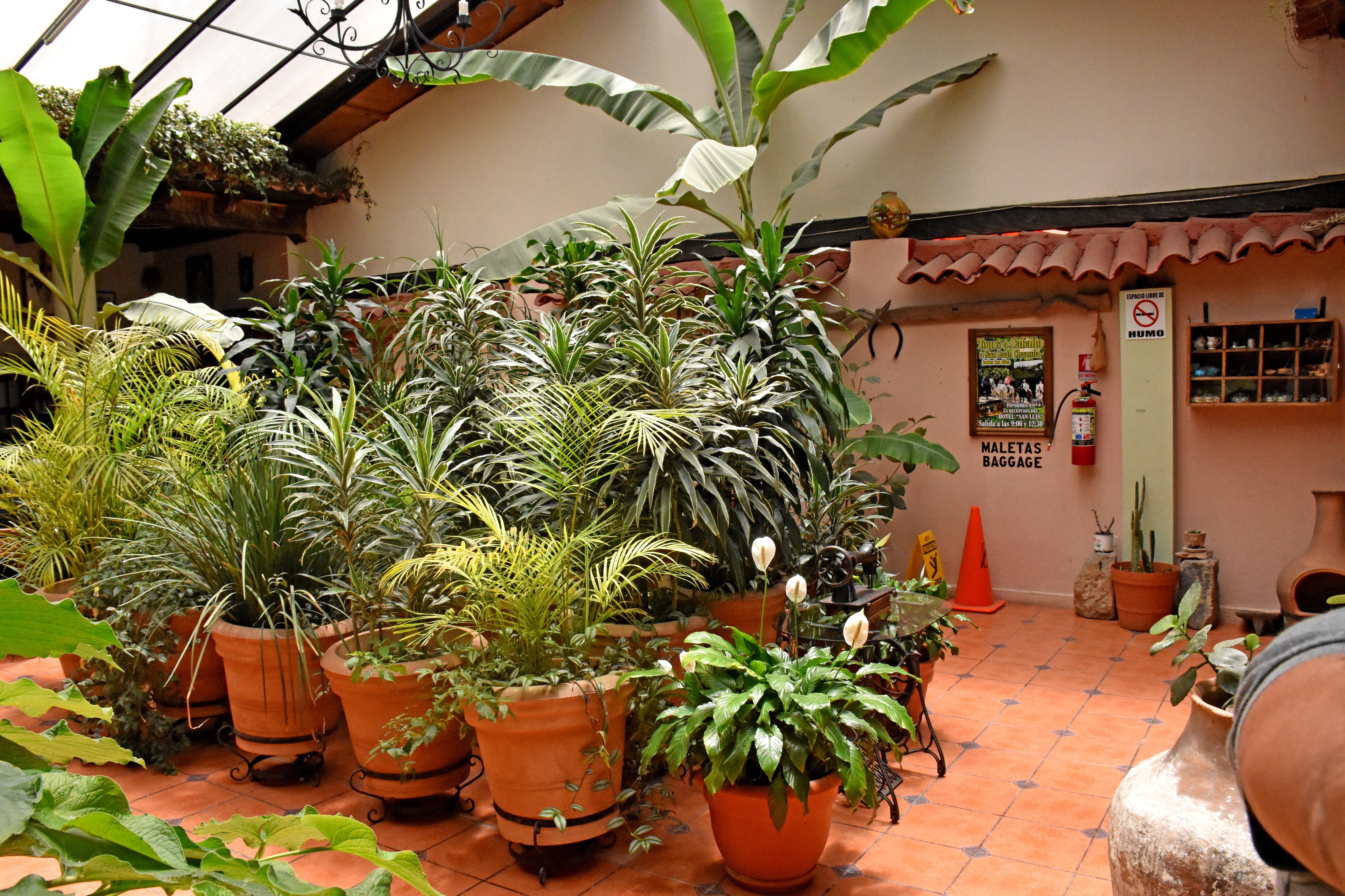 Hotel San Luis San Cristobal de las Casas Exterior foto