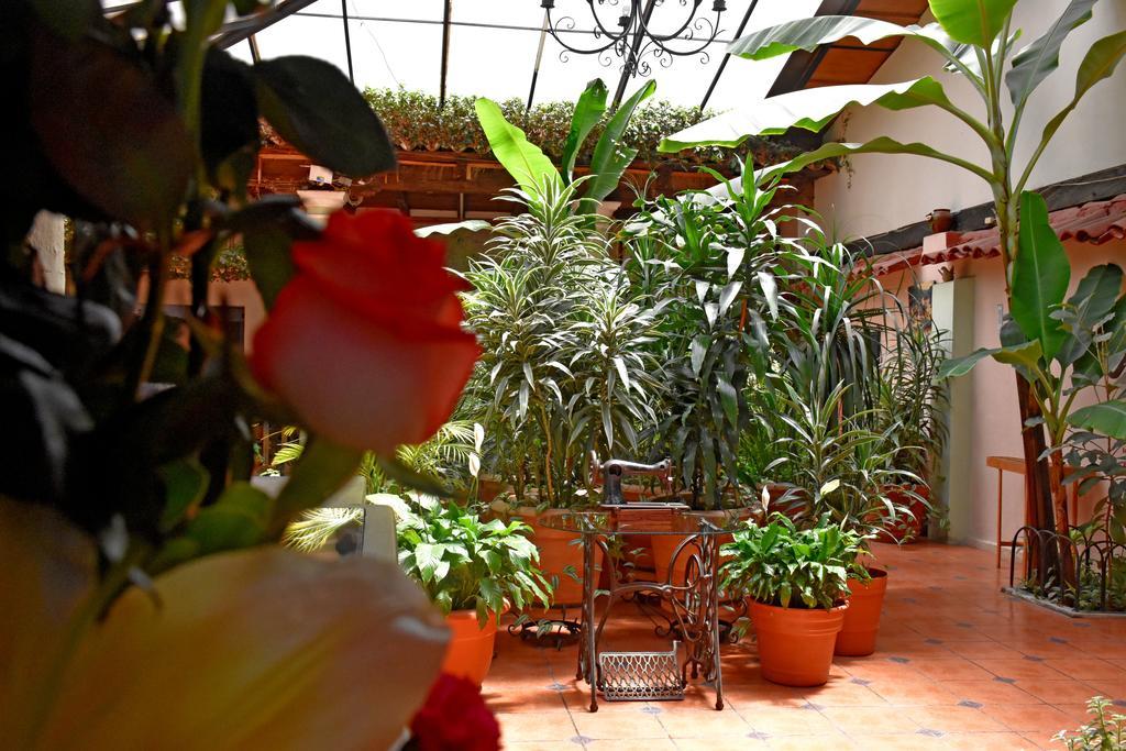 Hotel San Luis San Cristobal de las Casas Exterior foto